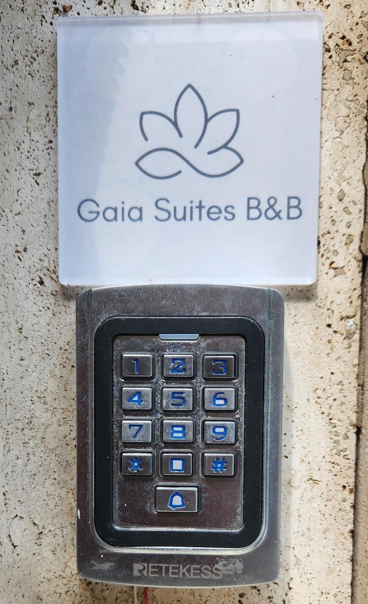 Gaia Suites - A Due Passi Dal Centro - Parcheggio Privato Турин Екстер'єр фото